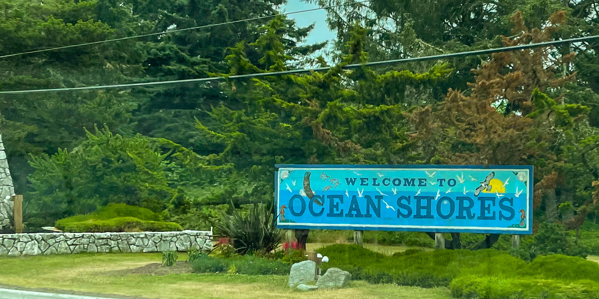 Down By The Sea: On Duck Lake in Ocean Shores