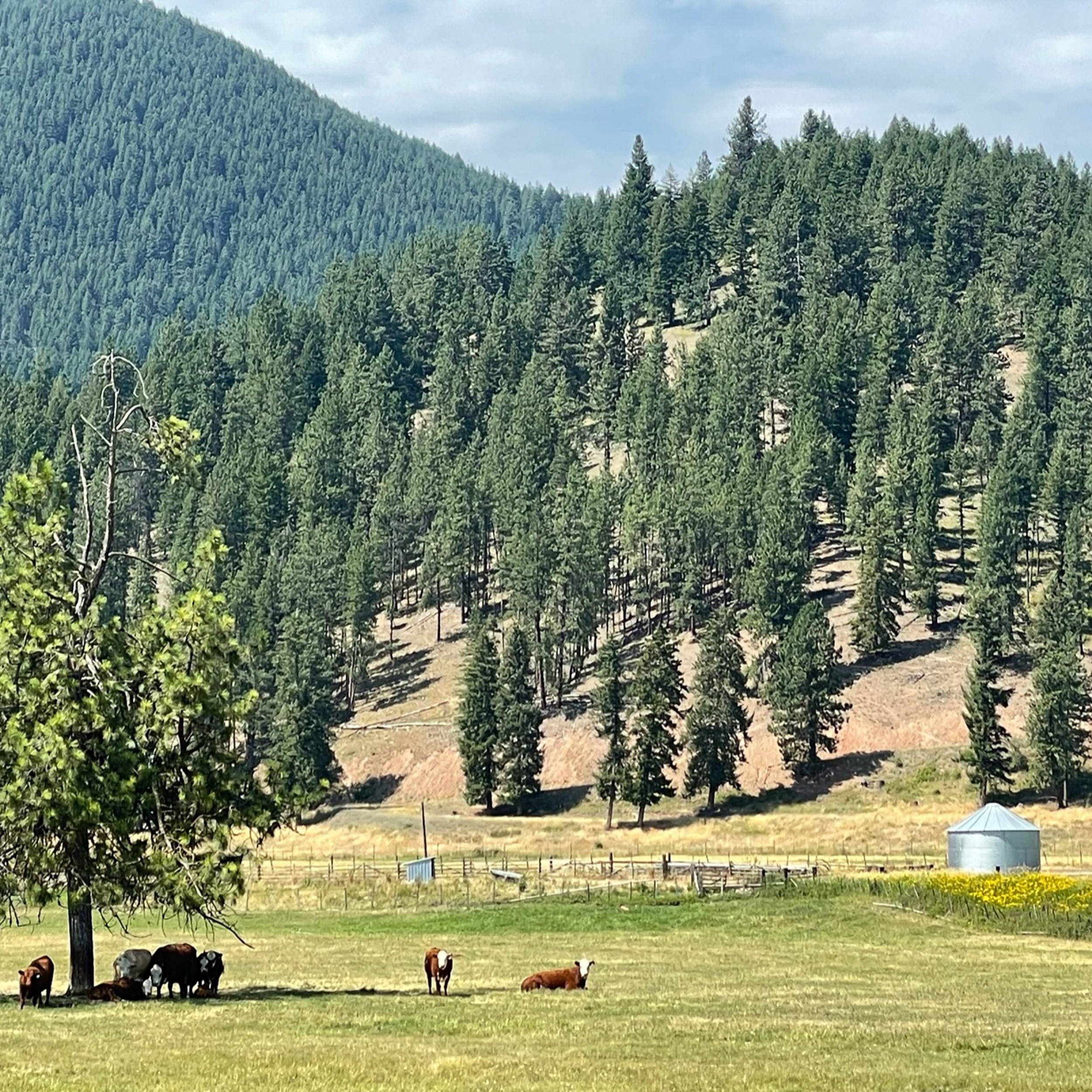 Campground St. Regis