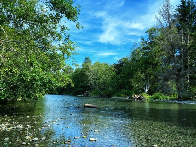 Dosewallips River at Dosewallips State Park
