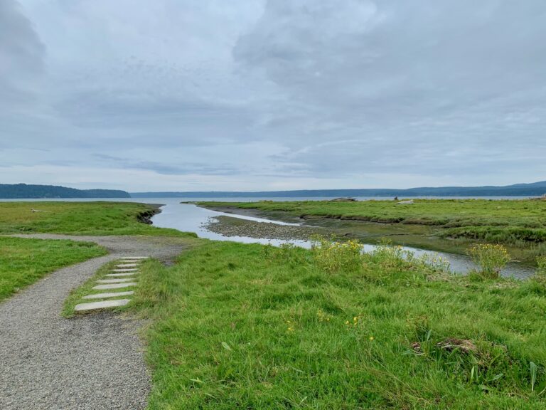 Hood Canal at Dosewallips State Park