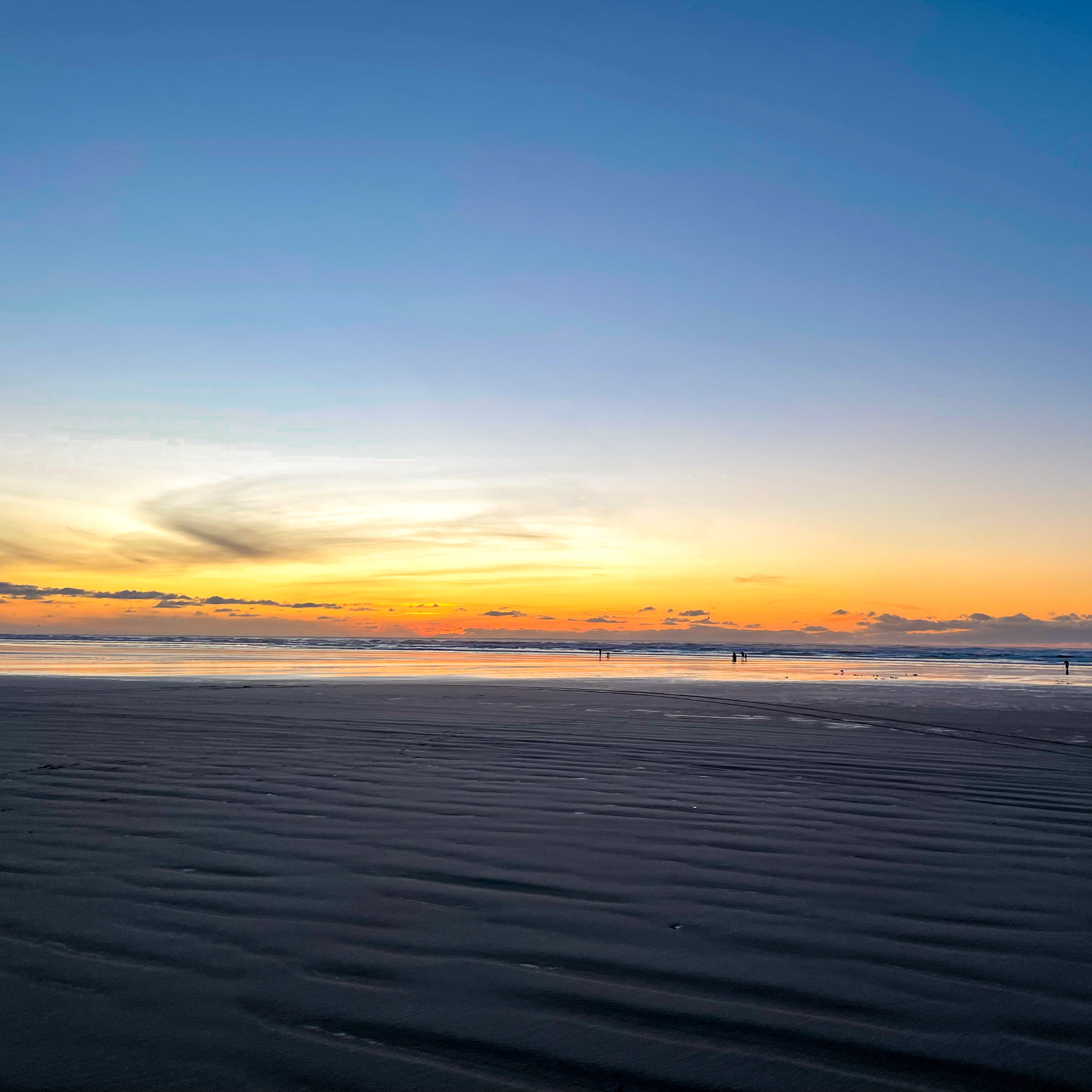 Grayland Beach State Park